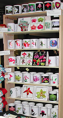 orchid display 8104.jpg